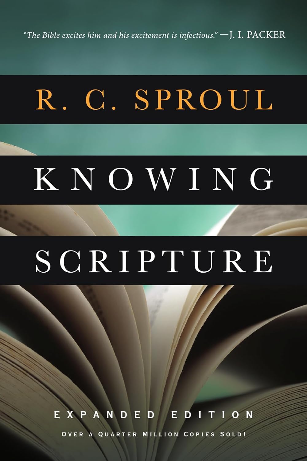 Knowing Scripture book cover